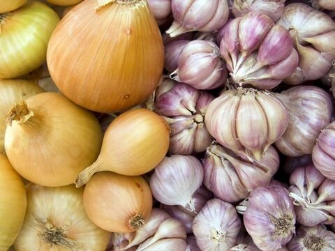 Garlic and onions - home remedies for the treatment of helminthic attacks