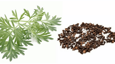 Cloves and worms to remove parasites from the body