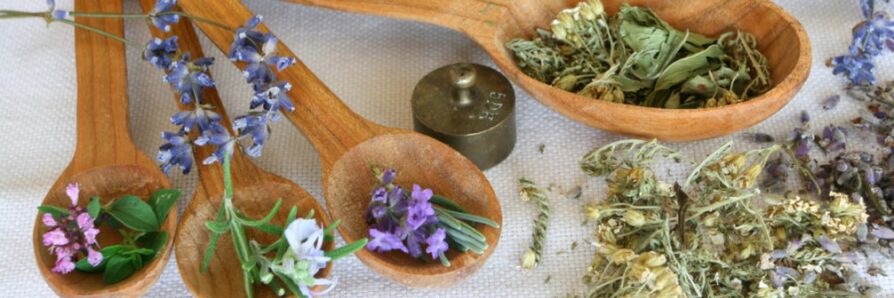 a combination of herbal preparations against worms