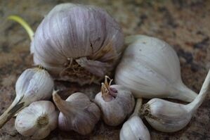 garlic fights parasites in the human body